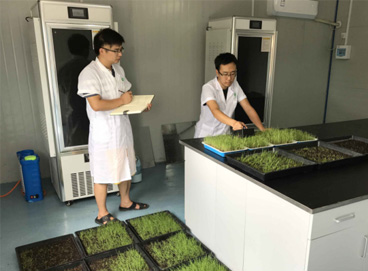 尊时凯龙·(中国区)人生就是搏!