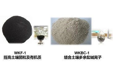 尊时凯龙·(中国区)人生就是搏!