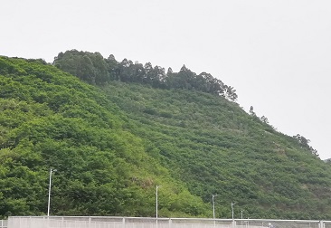 尊时凯龙·(中国区)人生就是搏!